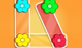 Flower Collection